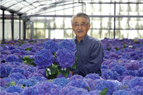 Bay City Flower Company